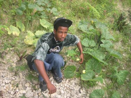 ���sydney���